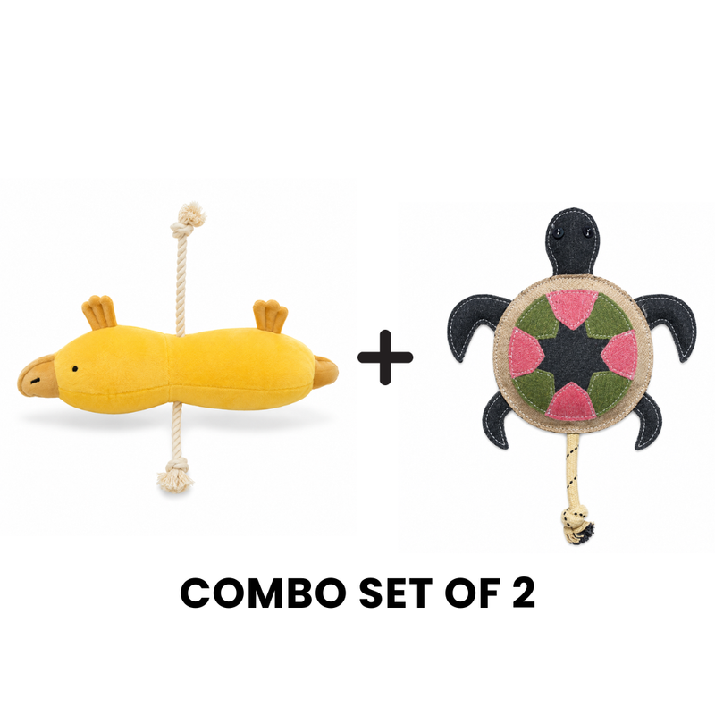 Buddy Happy Duo Plush Toy Bundle