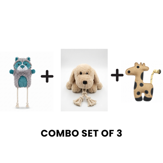 Buddy Loyal Explorer Playtime Bundle – 3 Pack
