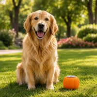 Poppy Pumpkin