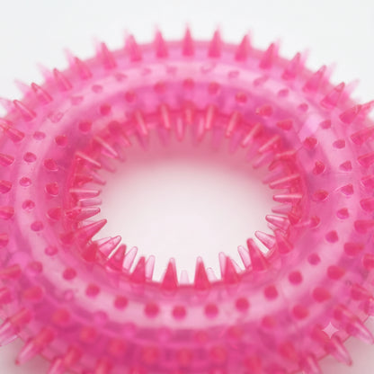 Spiked Ring Chew Toy for Dogs