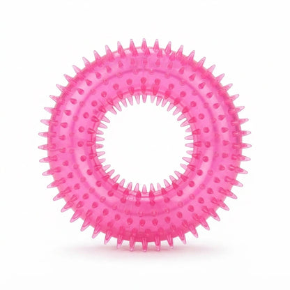 Spiked Ring Chew Toy for Dogs
