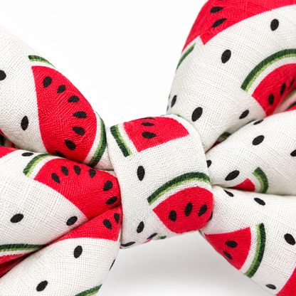 The Pawfect Bowtie