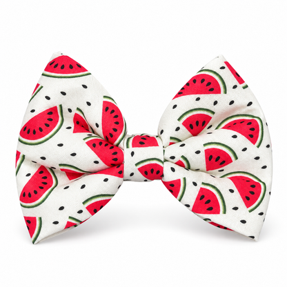 The Pawfect Bowtie