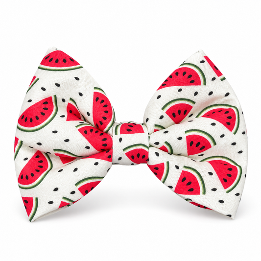 The Pawfect Bowtie