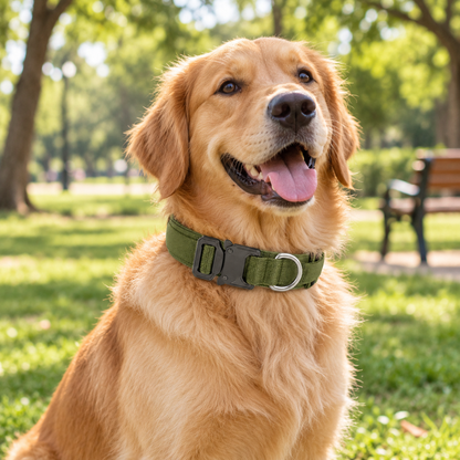 Pro Buckle Dog Collar