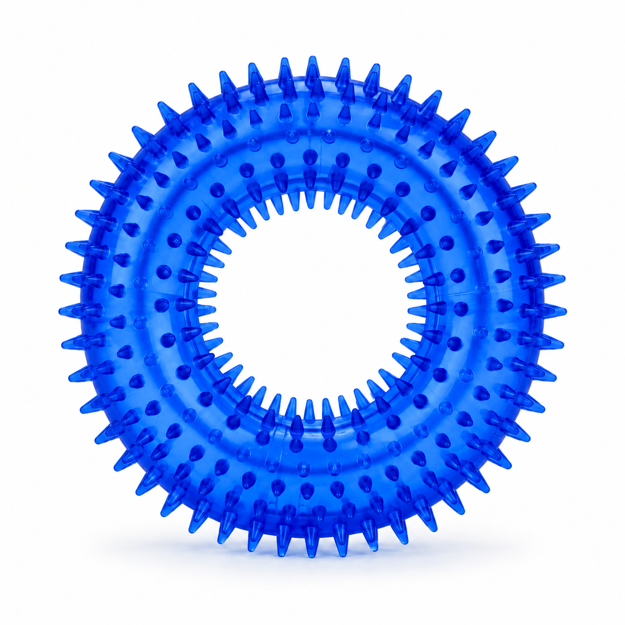 Spiked Ring Chew Toy for Dogs