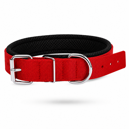 Soft Padded Collar for Dogs