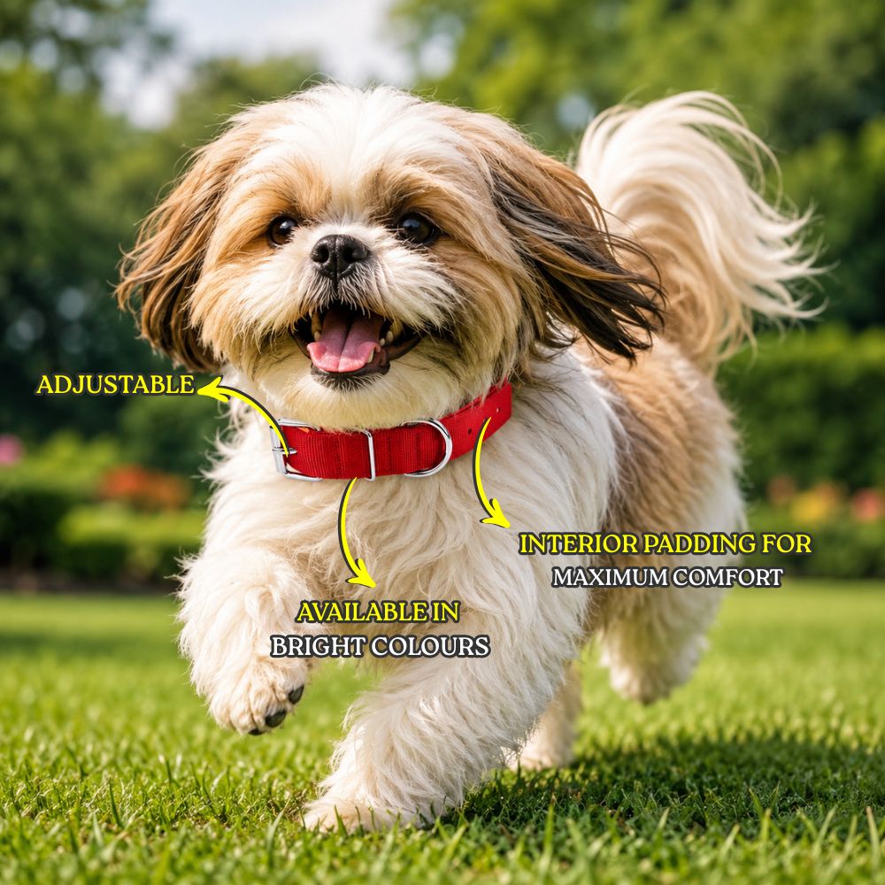 Soft Padded Collar for Dogs