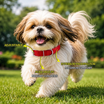 Soft Padded Collar for Dogs