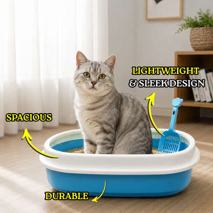 Cat tray and scooper