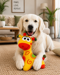 Sunny - The Playful Giant