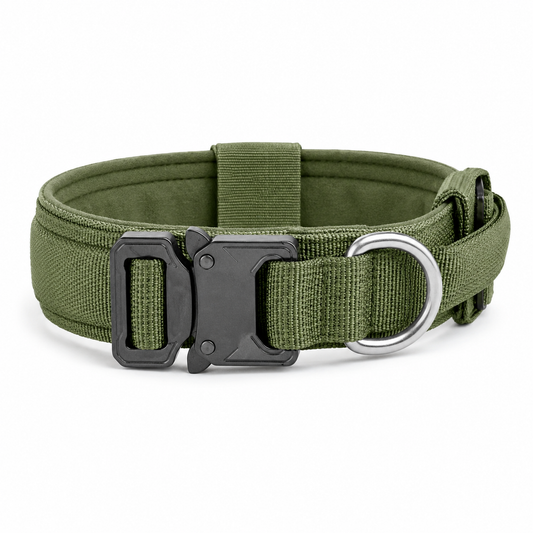 Pro Buckle Dog Collar