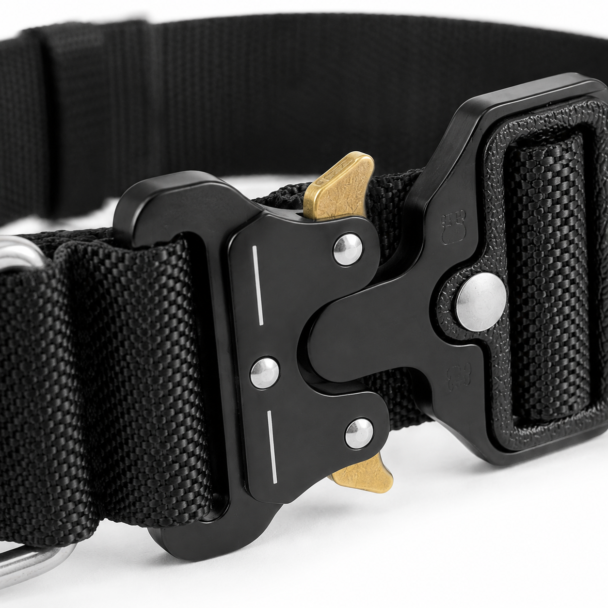 Pro Buckle Dog Collar