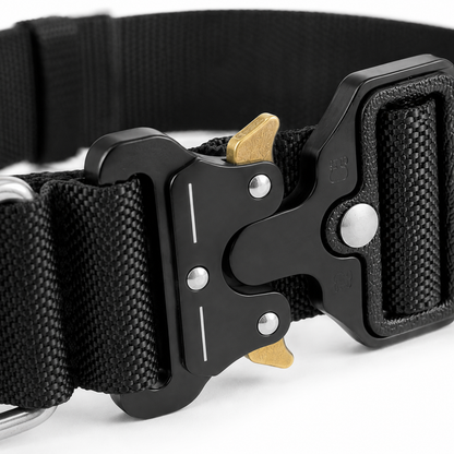 Pro Buckle Dog Collar