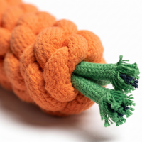 Carrot