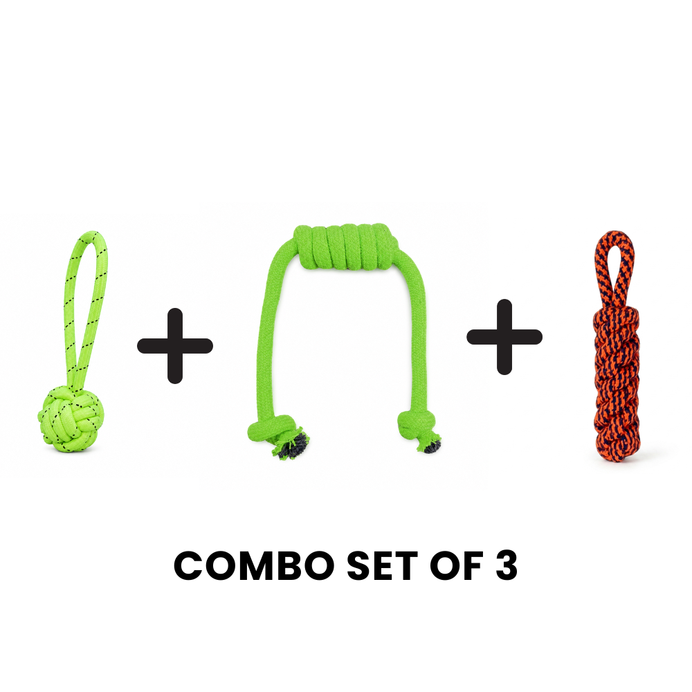 Buddy Tug & Play Rope Toy Bundle – 3 Pack