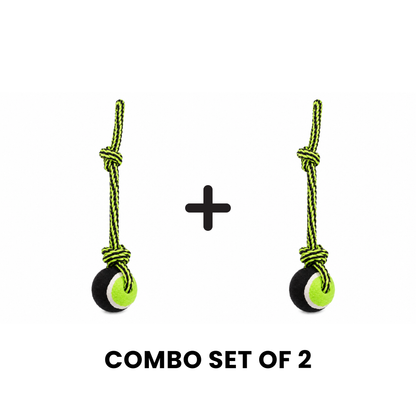 Buddy Bolt Premium Ball Toy – 2 Pack