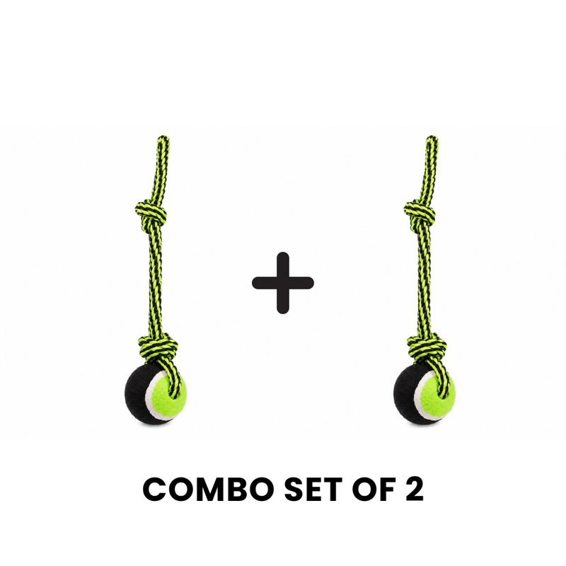 Buddy Bolt Premium Ball Toy – 2 Pack