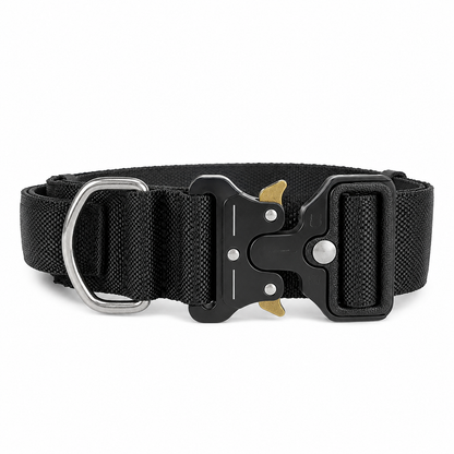 Pro Buckle Dog Collar