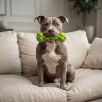 Power Bone