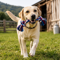 2 Knot Rope Toy