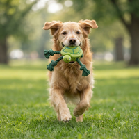 Tug Turtle