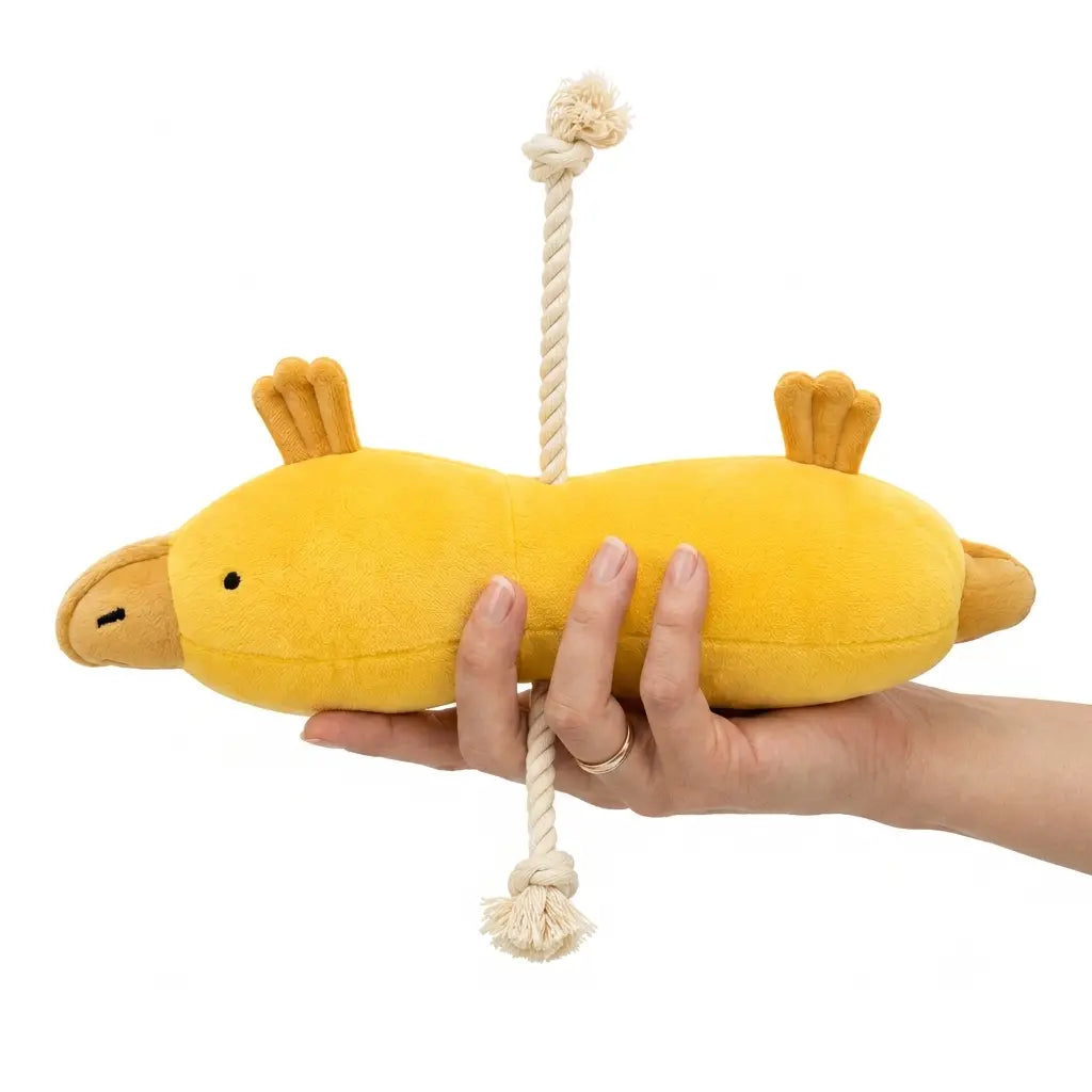 Ducky Doodle - The Squeaky Duck Dog Toy