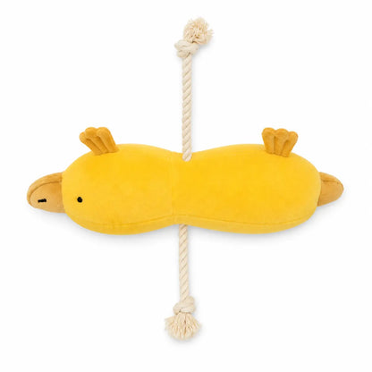 Ducky Doodle - The Squeaky Duck Dog Toy