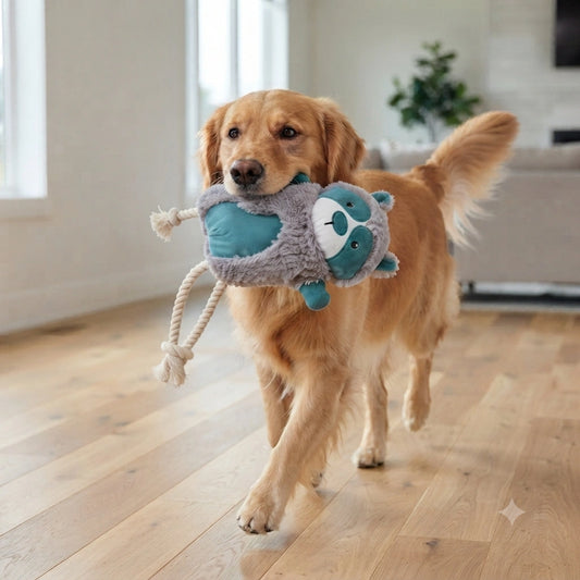 Ranger The Explorer | Squeaky Toy for Dogs