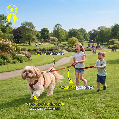 Soft Padded Harness Leash Set- for Dogs