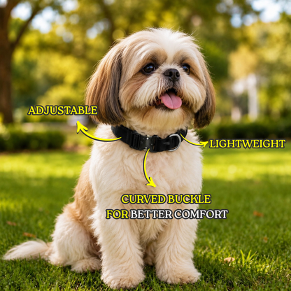 Pro Buckle Dog Collar