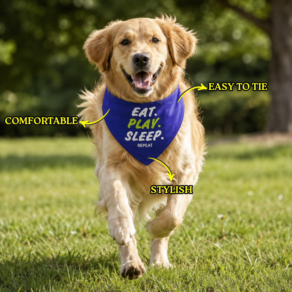 Buddy Bandanas for Pets