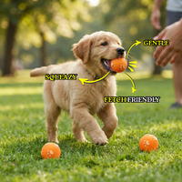 Mini Play Ball
