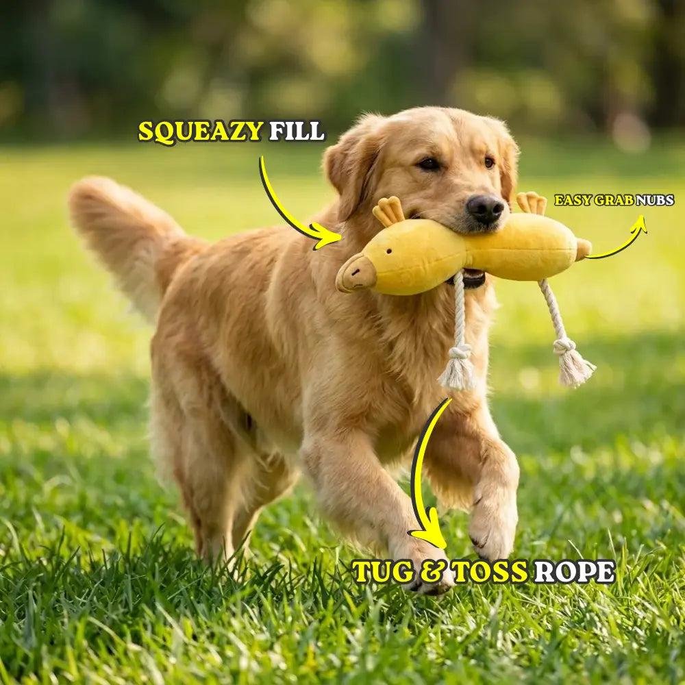 Ducky Doodle - The Squeaky Duck Dog Toy