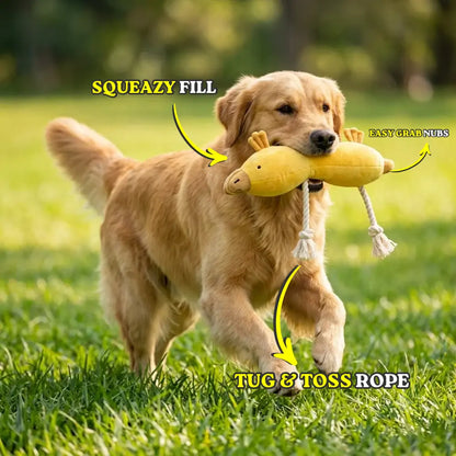 Ducky Doodle - The Squeaky Duck Dog Toy