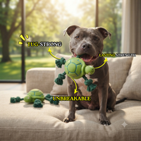 Tug Turtle