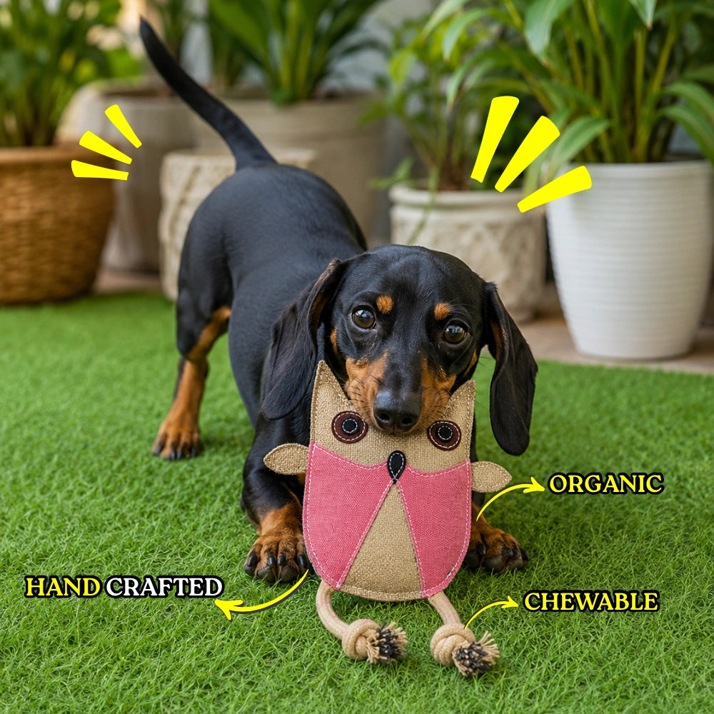 Olly - Owl-Shaped Jute Dog Toy