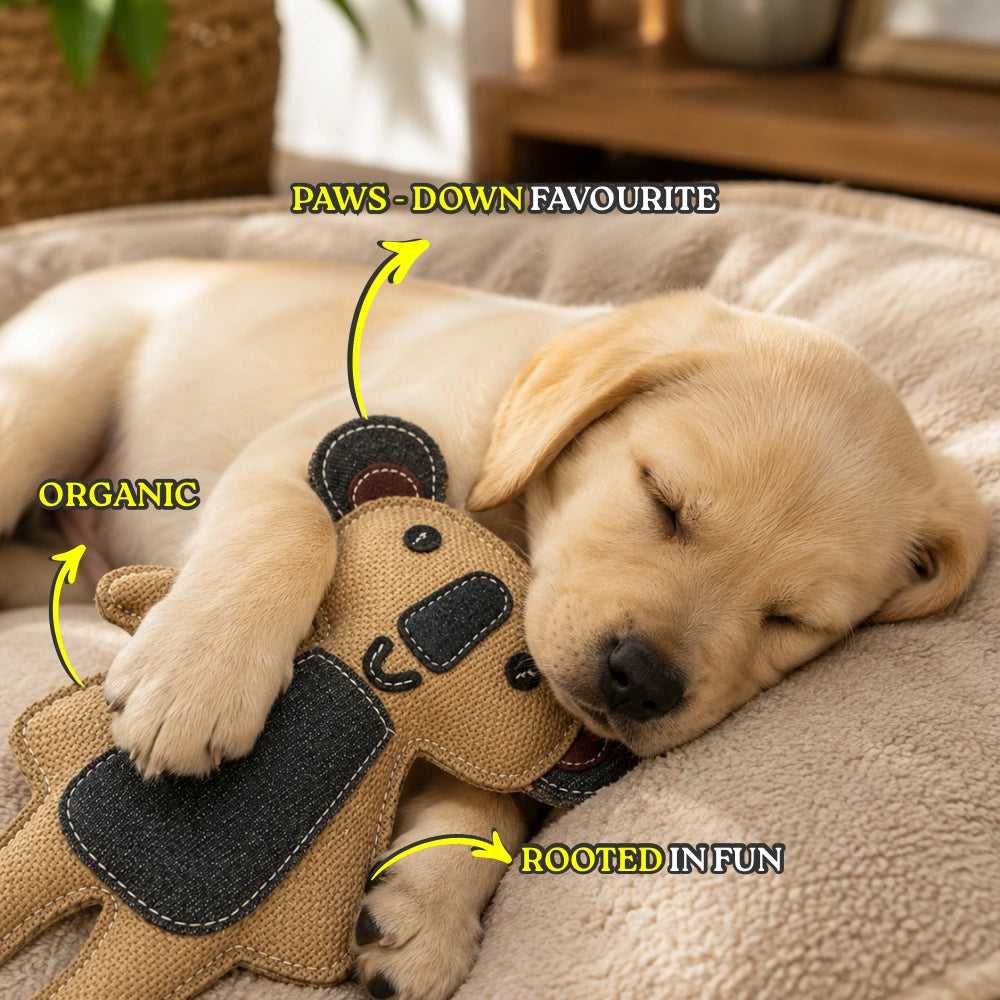 Koko Koala - Jute Dog Toy