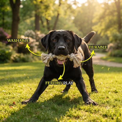 Rope Ball Pull Toy for Dogs