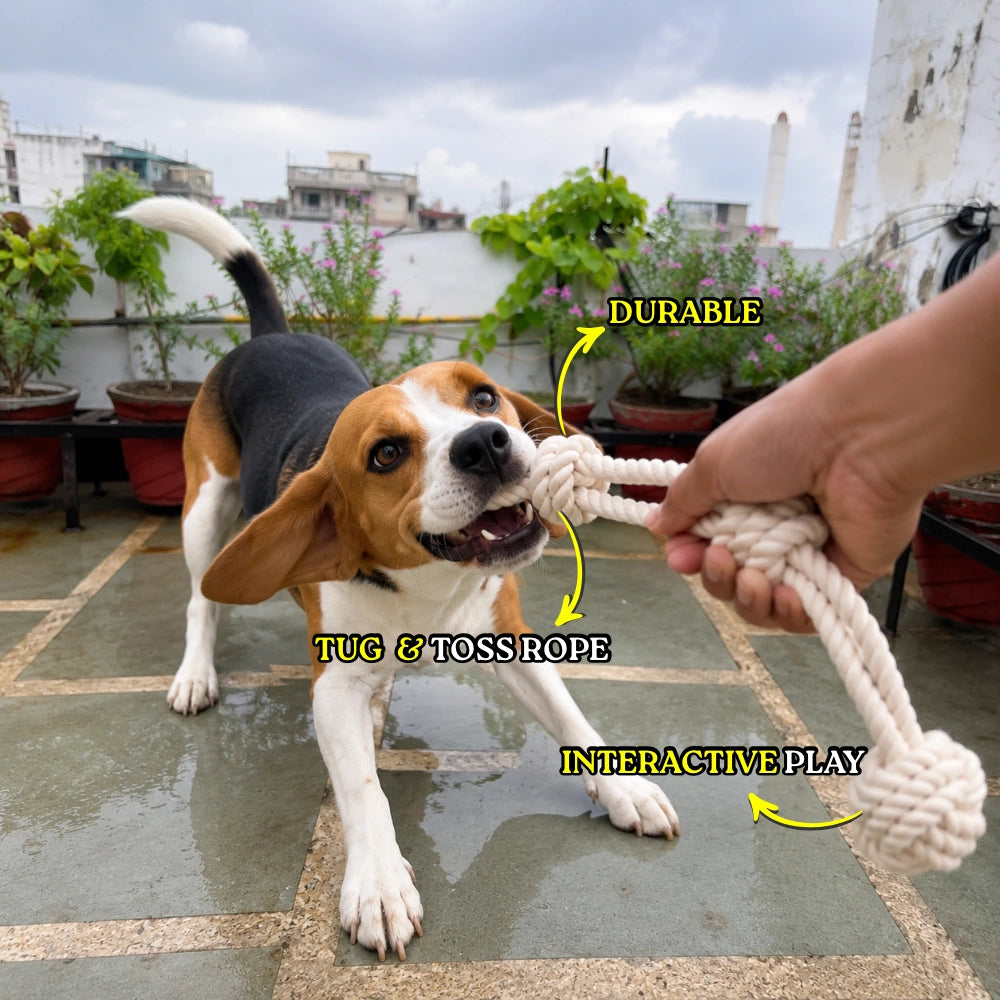 Long Rope Tug Toy for Dogs