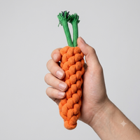 Carrot