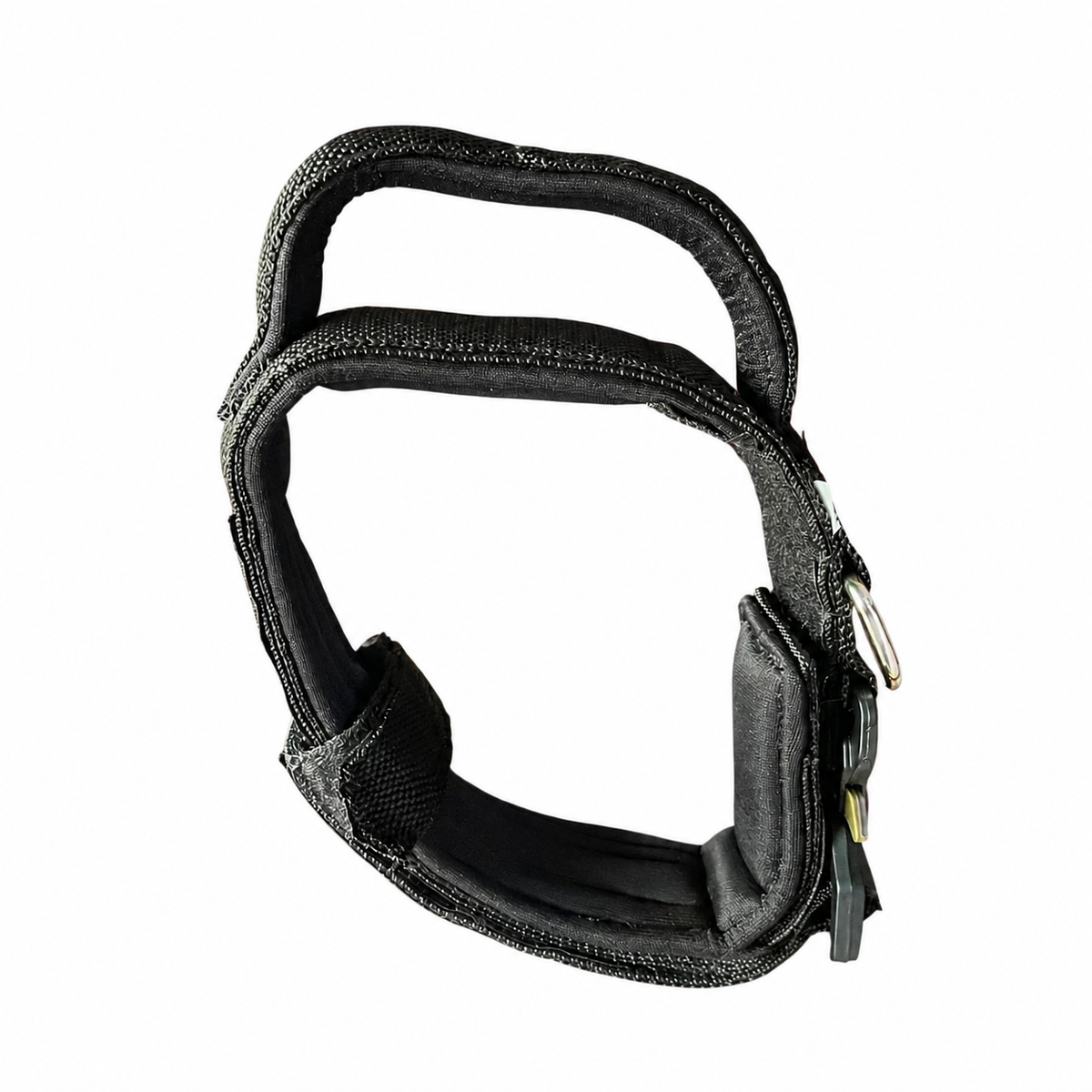 Pro Buckle Dog Collar